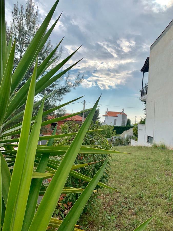 Summer Luxury Villa With Sea View 美塔摩尔弗斯 外观 照片